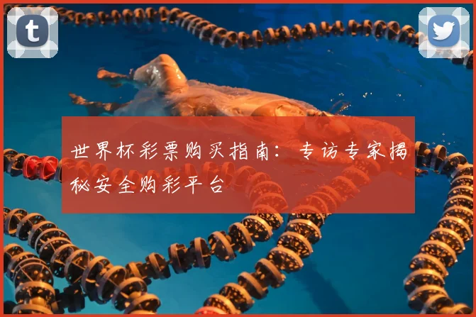 世界杯彩票购买指南:专访专家揭秘安全购彩平台