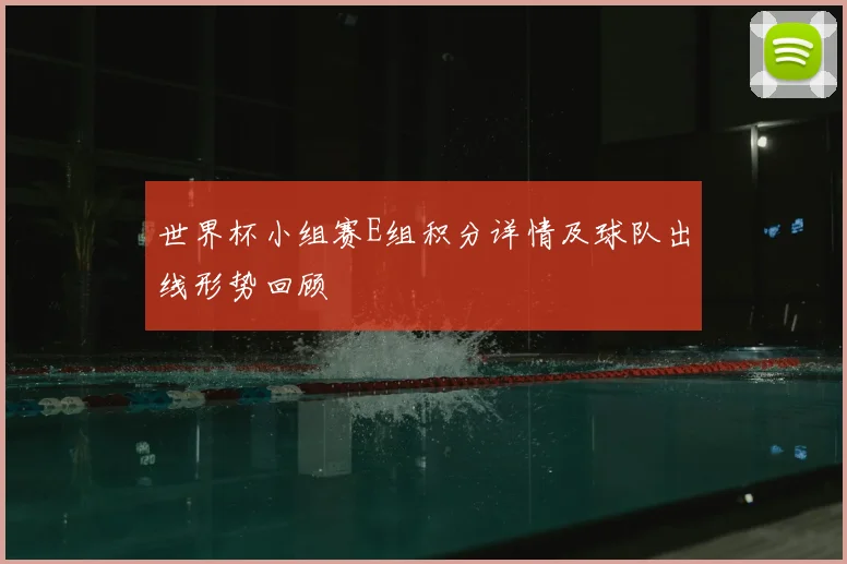 世界杯小组赛E组积分详情及球队出线形势回顾