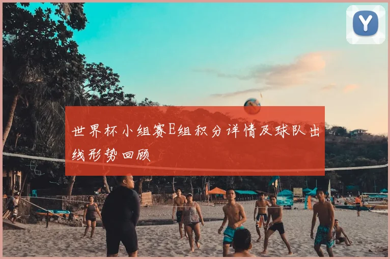 世界杯小组赛E组积分详情及球队出线形势回顾