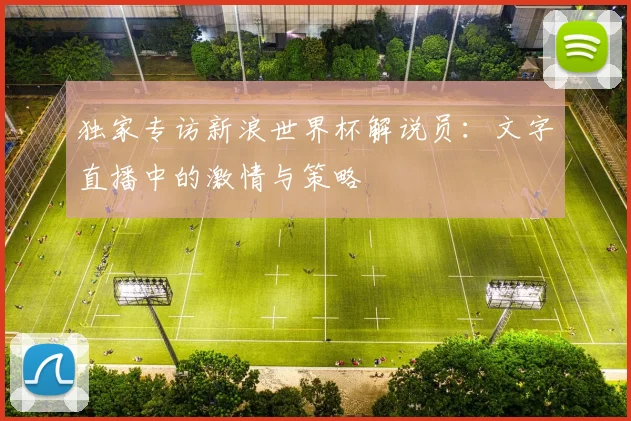 独家专访新浪世界杯解说员：文字直播中的激情与策略