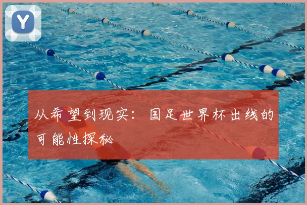 从希望到现实：国足世界杯出线的可能性探秘