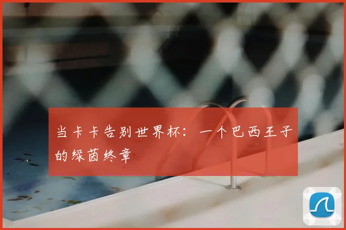 当卡卡告别世界杯：一个巴西王子的绿茵终章