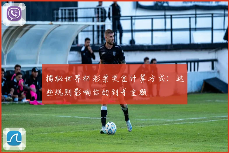 揭秘世界杯彩票奖金计算方式：这些规则影响你的到手金额