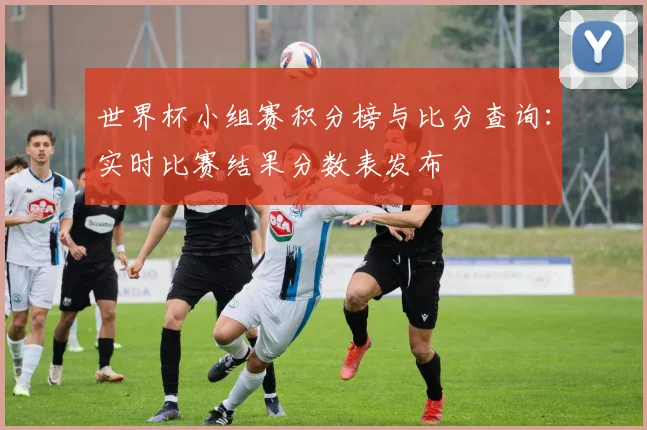 世界杯小组赛积分榜与比分查询：实时比赛结果分数表发布