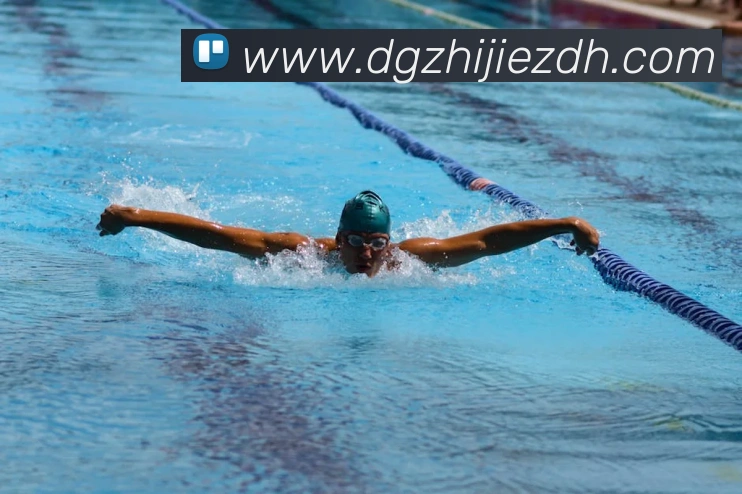 新半岛官网APP 封面图